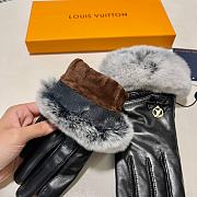 Louis Vuitton | Glove 01 - 4