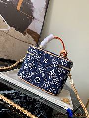 Louis Vuitton | Vanity PM handbag Since 1854 - M57403 - 19 x 13 x 11 cm - 6