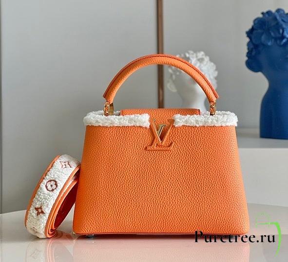 Louis Vuitton | Capucines BB bag - M59267 - 27 x 18 x 9 cm - 1