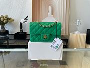 CHANEL | Classic Flap Bag Green Golden Hardware- A01116 - 20 cm - 1