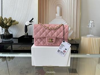 CHANEL | Classic Flap Bag Light Pink Golden Hardware- A01116 - 20 cm