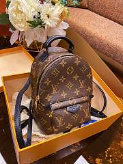 Louis Vuitton | Palm Springs Monogram Canvas Backpack Mini | M41562 - 1