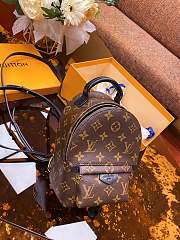 Louis Vuitton | Palm Springs Monogram Canvas Backpack Mini | M41562 - 6