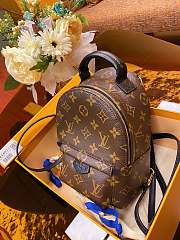 Louis Vuitton | Palm Springs Monogram Canvas Backpack Mini | M41562 - 4