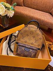 Louis Vuitton | Palm Springs Backpack Mini - M44872  - 1