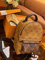 Louis Vuitton | Palm Springs Backpack Mini - M44872  - 4