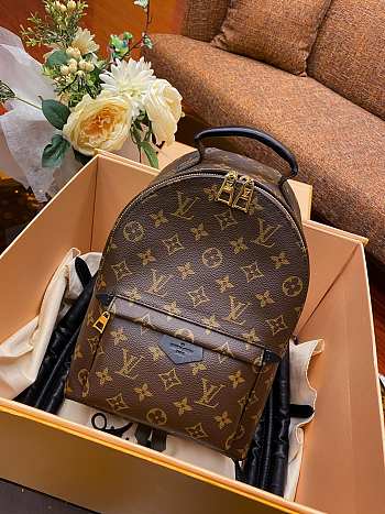 Louis Vuitton Palm Springs Backpack PM | M41560