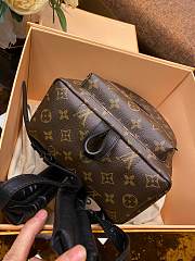 Louis Vuitton Palm Springs Backpack PM | M41560 - 2