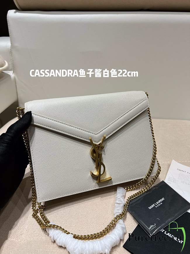 YSL | CASSANDRA MEDIUM White in grain CHAIN BAG - 532750 - 22 x 16,5 x 5,5 cm - 1