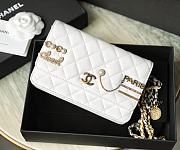 CHANEL | Chain Wallet Lucky Charm - 19cm - 2