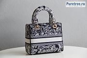 DIOR | Medium Lady D-Lite Bag Toile de Jouy Stripes Embroidery M0565 - 24cm - 5