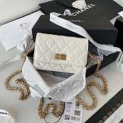 Chanel 2.55 Clutch With Chain White 11x15.5x4.5 cm - 1