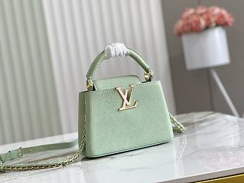 Louis Vuitton | Capucines Mini Vert d'eau Green 21 x 14 x 9 cm 