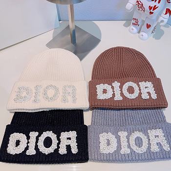 Dior Hats Black/Brown/Light Blue/White