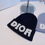 Dior Hats Black/Brown/Light Blue/White - 3