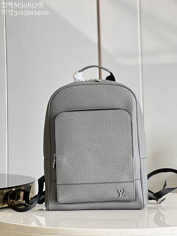 Louis Vuitton | Adrian Backpack Gray Taiga Leather 31x39x14 cm