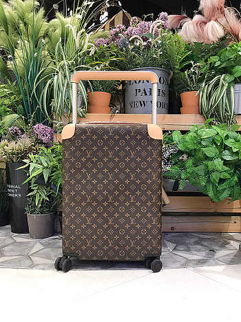 Louis Vuitton Horizon Luggage Box 55 Beige