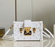 Louis Vuitton Petite Malle White Calfskin Leather 20x12.5x6 cm  - 1