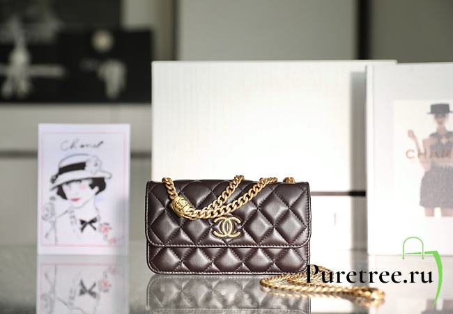 Chanel Wallet On Chain Brown Lambskin size 10x17.2x3.3 cm - 1