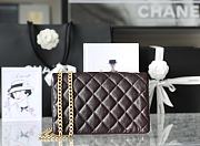 Chanel Flap Bag in Dark Brown Lampskin AS3609 size 25x16x10 cm - 5