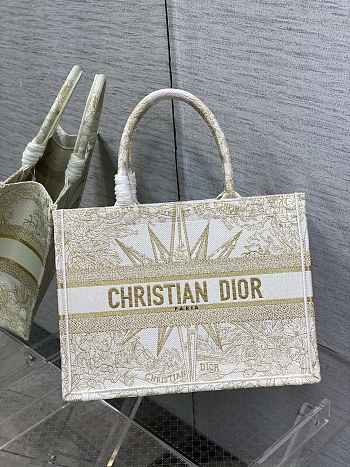 Dior Medium Book Tote Dior Rêve d'Infini Embroidery with Gold-Tone Metallic Thread