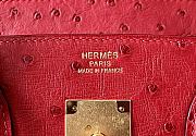 Hermes Birkin Red Ostrich Size 25 x 20 x 13 cm - 3