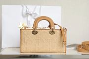 Dior Medium Lady D-Joy Bag Natural Cannage Raffia 26 x 13.5 x 5 cm - 5
