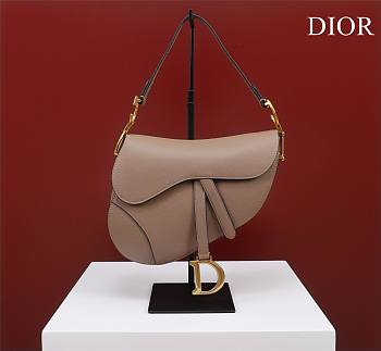Dior Saddle Bag Beige Grain Leather size 25.5x20x6.5 cm