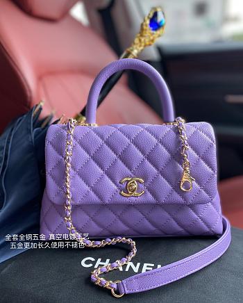 Chanel Coco Bag Purple Grain Leather & Gold Hardware size 24x14x10 cm