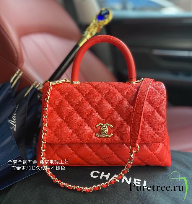 Chanel Coco Bag Red Grain Leather & Gold Hardware size 24x14x10 cm - 1