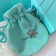 Tiffany & Co Necklace 03 - 4