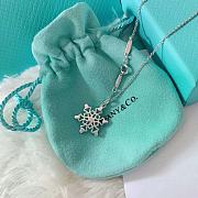 Tiffany & Co Necklace 03 - 5