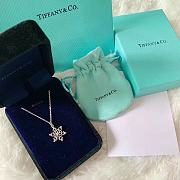 Tiffany & Co Necklace 03 - 2
