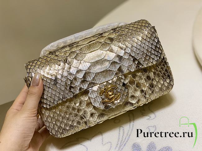 Chanel Classic Small Flap Bag Python Leather 20cm - 1