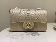 Chanel Classic Small Flap Bag Beige Black Python Leather 20cm - 1
