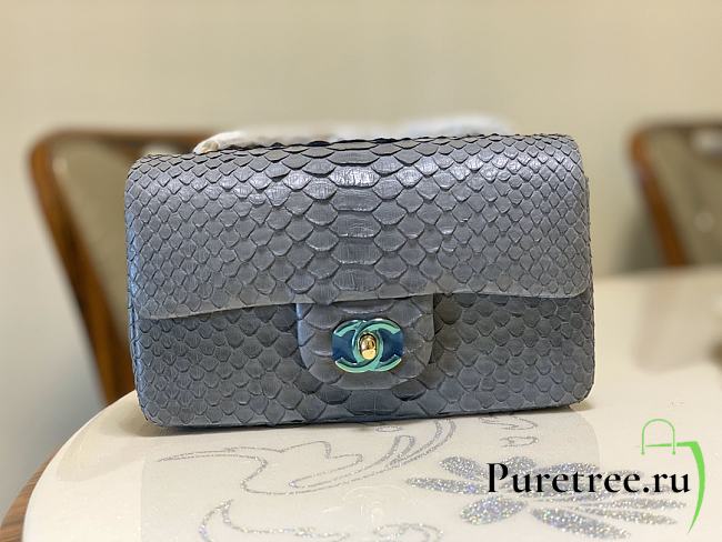Chanel Classic Small Flap Bag Gray Python Leather 20cm - 1