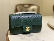 Chanel Classic Small Flap Bag Green Python Leather 20cm - 1