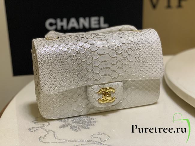 Chanel Classic Small Flap Bag White Python Leather 20cm - 1