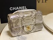 Chanel Classic Small Flap Bag Python Leather 20cm - 01 - 1