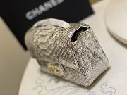 Chanel Classic Small Flap Bag Python Leather 20cm - 01 - 2