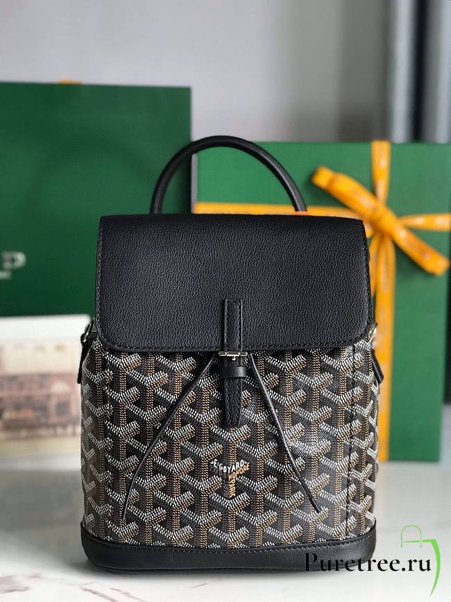 GOYARD Goyardine Calfskin Mini Alpin Backpack Black 18.5x21.5x8.5 cm - 1