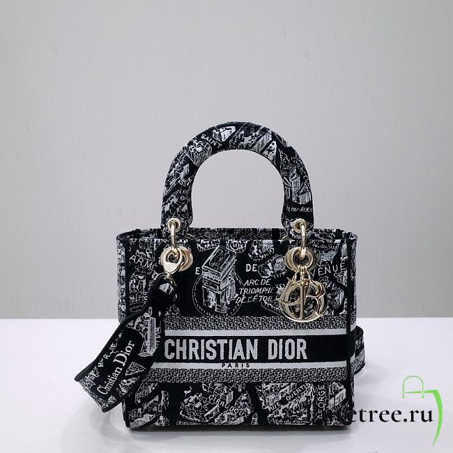 Dior Medium Lady D-Lite Bag Black and White Plan de Paris Embroidery - 1