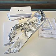 Dior Toile De Jouy Sauvage Mitzah Scarf Gray Silk Twill - 4
