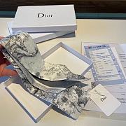 Dior Toile De Jouy Sauvage Mitzah Scarf Gray Silk Twill - 3