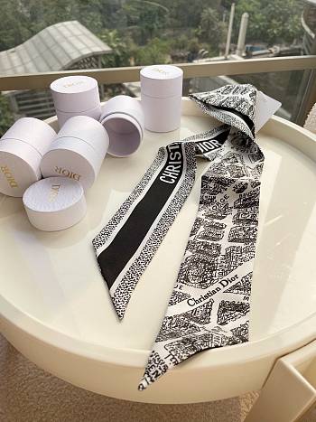 Dior Plan De Paris Mitzah Scarf White and Black  Silk Twill 6x100 cm