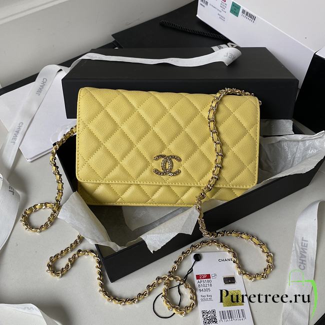 CHANEL Bags AP3180 In Yellow GP Shoulder bag Size 19 cm - 1