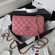 CHANEL Bags AP3180 In Pink GP Shoulder bag Size 19 cm - 1