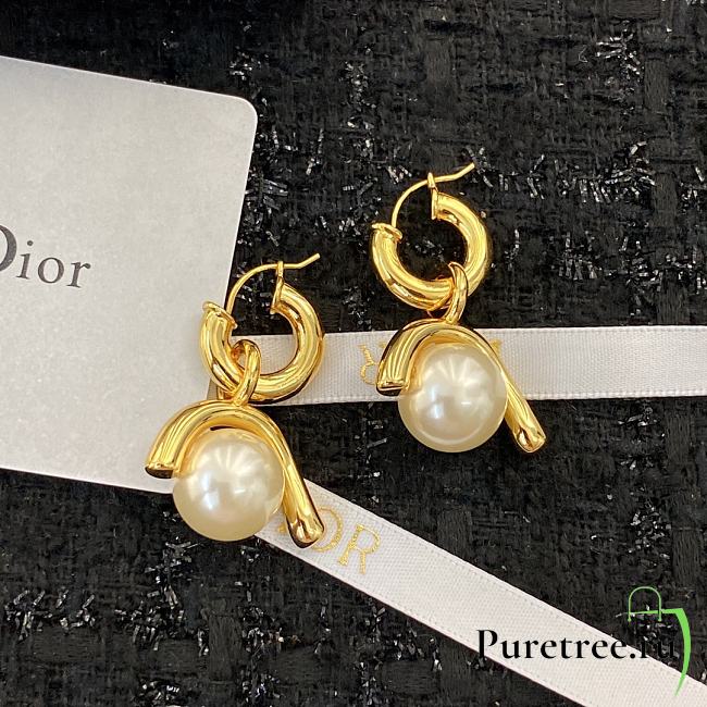 Dior|Earing 17103 - 1