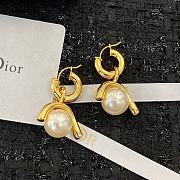 Dior|Earing 17103 - 1