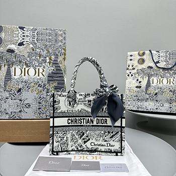 DIOR | Large Book Tote Plan de Paris Embroidery Size 37x28x16 cm